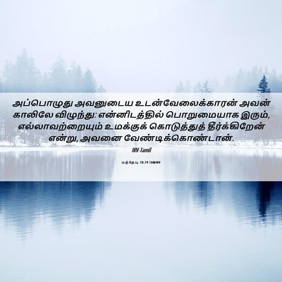 Picture 06 - மத்தேயு 18:29 TAMIRV - அப்பொழுது அவனுடைய - Bible Verse Picture