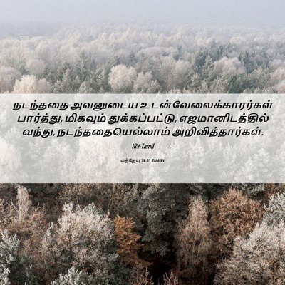 Picture 06 - மத்தேயு 18:31 TAMIRV - நடந்ததை அவனுடைய - Bible Verse Picture