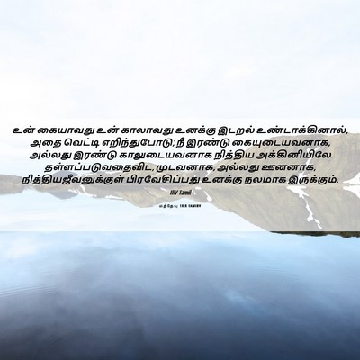 Picture 06 - மத்தேயு 18:8 TAMIRV - உன் கையாவது உன் - Bible Verse Picture