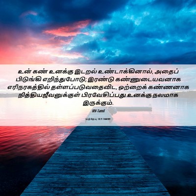 Picture 06 - மத்தேயு 18:9 TAMIRV - உன் கண் உனக்கு - Bible Verse Picture