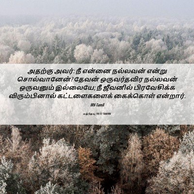 Picture 06 - மத்தேயு 19:17 TAMIRV - அதற்கு அவர்: நீ - Bible Verse Picture