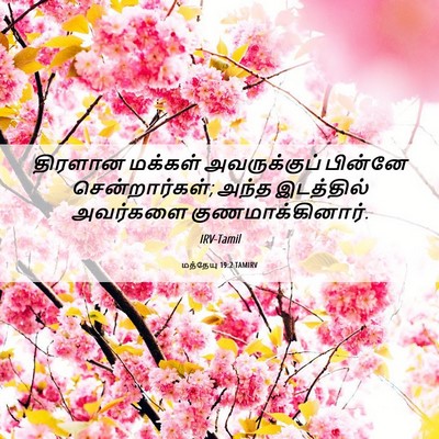 Picture 06 - மத்தேயு 19:2 TAMIRV - திரளான மக்கள் - Bible Verse Picture