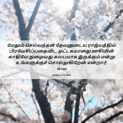 Picture 06 - மத்தேயு 19:24 TAMIRV - மேலும் செல்வந்தன் - Bible Verse Picture