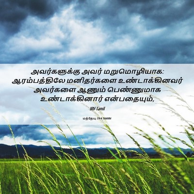 Picture 06 - மத்தேயு 19:4 TAMIRV - அவர்களுக்கு அவர் - Bible Verse Picture