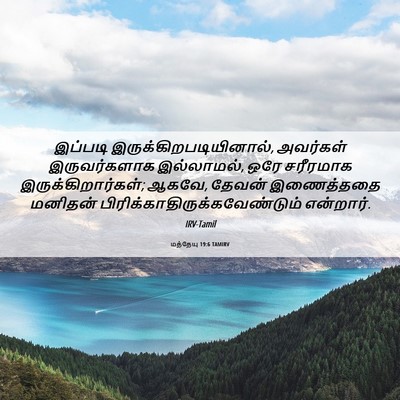 Picture 06 - மத்தேயு 19:6 TAMIRV - இப்படி - Bible Verse Picture