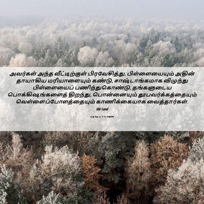 Picture 06 - மத்தேயு 2:11 TAMIRV - அவர்கள் அந்த - Bible Verse Picture