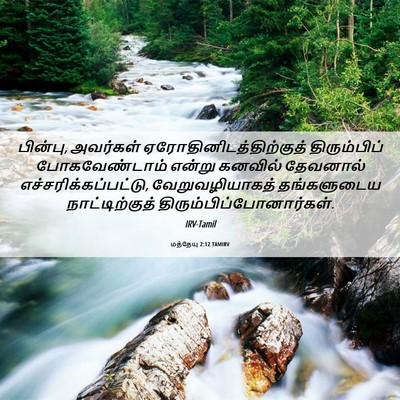 Picture 06 - மத்தேயு 2:12 TAMIRV - பின்பு, அவர்கள் - Bible Verse Picture