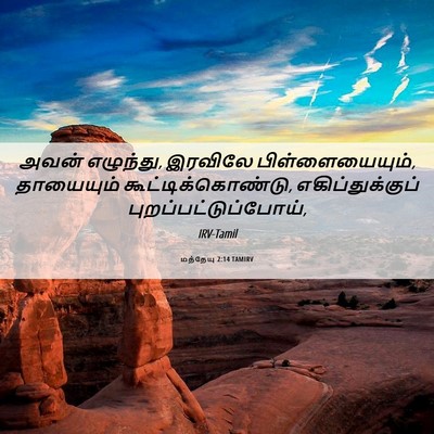 Picture 06 - மத்தேயு 2:14 TAMIRV - அவன் எழுந்து, - Bible Verse Picture