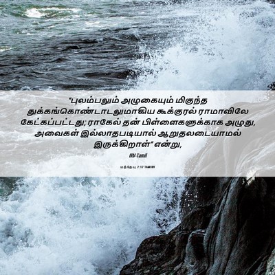 Picture 06 - மத்தேயு 2:17 TAMIRV - “புலம்பலும் - Bible Verse Picture