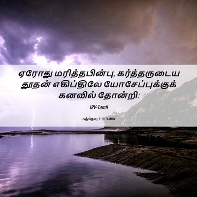 Picture 06 - மத்தேயு 2:19 TAMIRV - ஏரோது - Bible Verse Picture