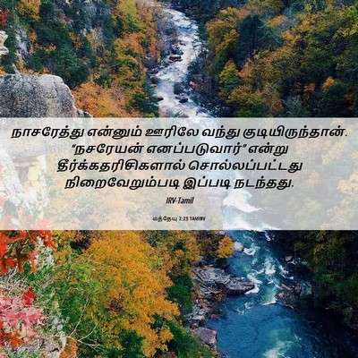 Picture 06 - மத்தேயு 2:23 TAMIRV - நாசரேத்து என்னும் - Bible Verse Picture