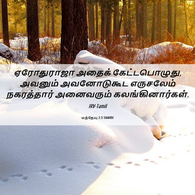 Picture 06 - மத்தேயு 2:3 TAMIRV - ஏரோதுராஜா அதைக் - Bible Verse Picture