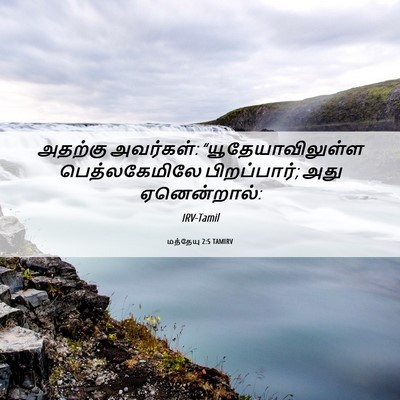 Picture 06 - மத்தேயு 2:5 TAMIRV - அதற்கு அவர்கள்: - Bible Verse Picture