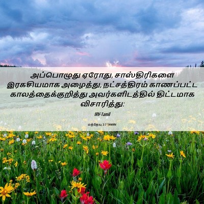 Picture 06 - மத்தேயு 2:7 TAMIRV - அப்பொழுது ஏரோது, - Bible Verse Picture