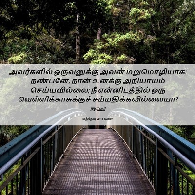 Picture 06 - மத்தேயு 20:13 TAMIRV - அவர்களில் - Bible Verse Picture