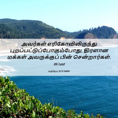 Picture 06 - மத்தேயு 20:29 TAMIRV - அவர்கள் - Bible Verse Picture