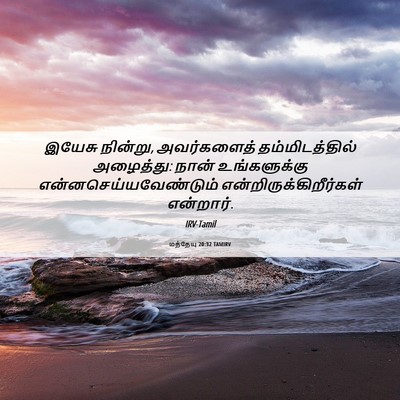 Picture 06 - மத்தேயு 20:32 TAMIRV - இயேசு நின்று, - Bible Verse Picture