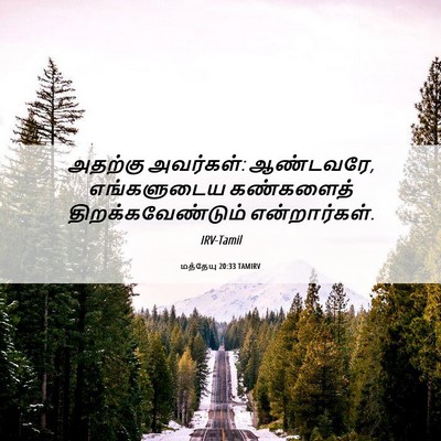 Picture 06 - மத்தேயு 20:33 TAMIRV - அதற்கு அவர்கள்: - Bible Verse Picture