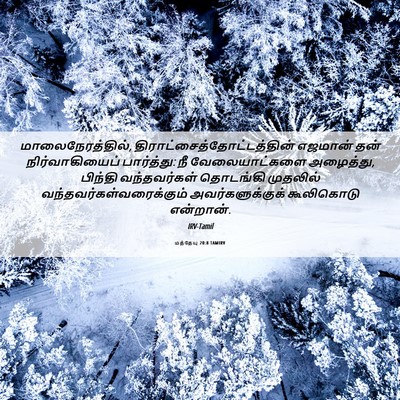 Picture 06 - மத்தேயு 20:8 TAMIRV - மாலைநேரத்தில், - Bible Verse Picture