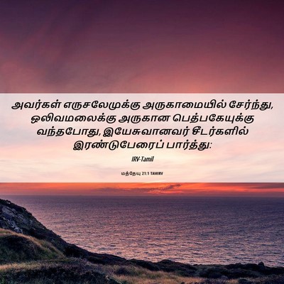 Picture 06 - மத்தேயு 21:1 TAMIRV - அவர்கள் - Bible Verse Picture