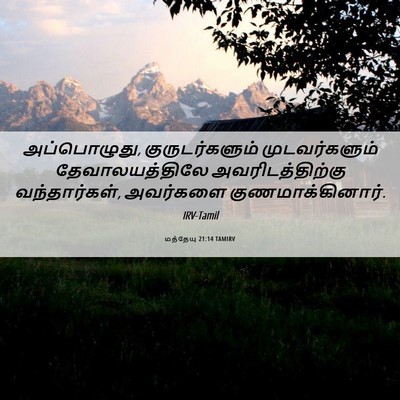 Picture 06 - மத்தேயு 21:14 TAMIRV - அப்பொழுது, - Bible Verse Picture