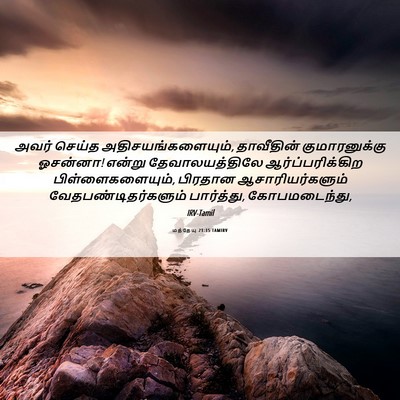 Picture 06 - மத்தேயு 21:15 TAMIRV - அவர் செய்த - Bible Verse Picture