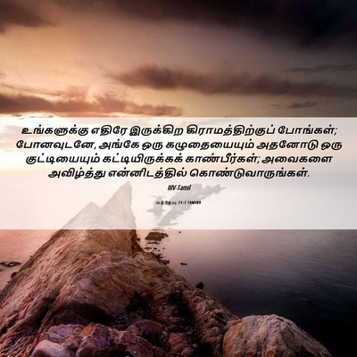 Picture 06 - மத்தேயு 21:2 TAMIRV - உங்களுக்கு எதிரே - Bible Verse Picture