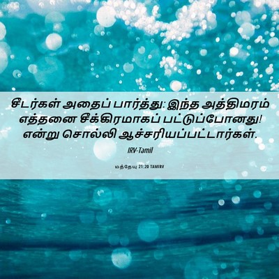 Picture 06 - மத்தேயு 21:20 TAMIRV - சீடர்கள் அதைப் - Bible Verse Picture