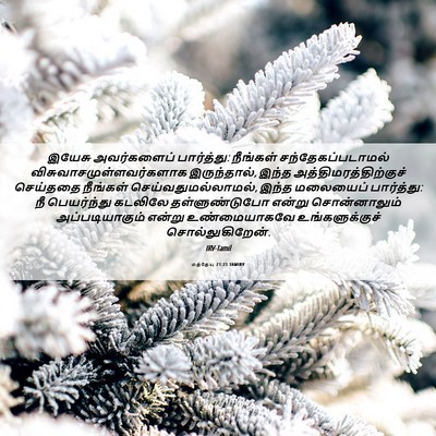 Picture 06 - மத்தேயு 21:21 TAMIRV - இயேசு அவர்களைப் - Bible Verse Picture