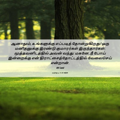 Picture 06 - மத்தேயு 21:28 TAMIRV - ஆனாலும், - Bible Verse Picture
