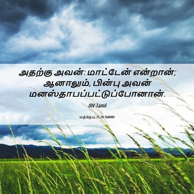 Picture 06 - மத்தேயு 21:29 TAMIRV - அதற்கு அவன்: - Bible Verse Picture