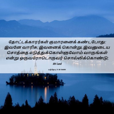 Picture 06 - மத்தேயு 21:38 TAMIRV - தோட்டக்காரர்கள் - Bible Verse Picture