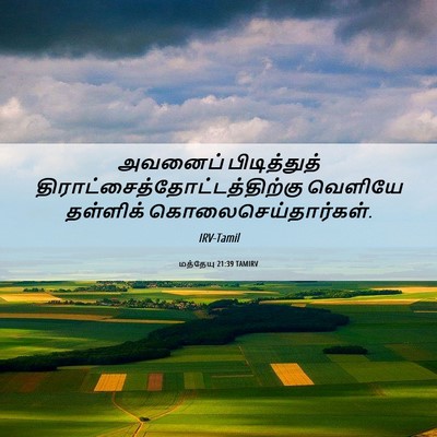 Picture 06 - மத்தேயு 21:39 TAMIRV - அவனைப் பிடித்துத் - Bible Verse Picture