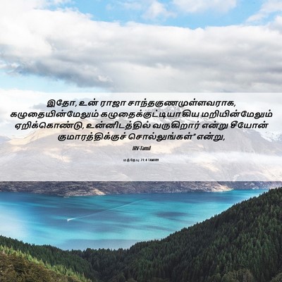 Picture 06 - மத்தேயு 21:4 TAMIRV - இதோ, உன் ராஜா - Bible Verse Picture