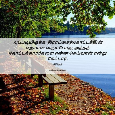 Picture 06 - மத்தேயு 21:40 TAMIRV - அப்படியிருக்க, - Bible Verse Picture