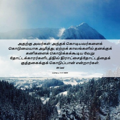 Picture 06 - மத்தேயு 21:41 TAMIRV - அதற்கு அவர்கள்: - Bible Verse Picture
