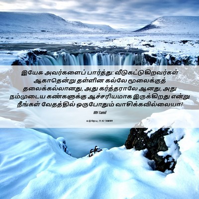 Picture 06 - மத்தேயு 21:42 TAMIRV - இயேசு அவர்களைப் - Bible Verse Picture