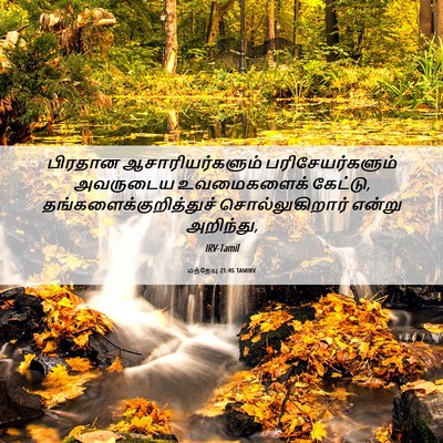 Picture 06 - மத்தேயு 21:45 TAMIRV - பிரதான - Bible Verse Picture