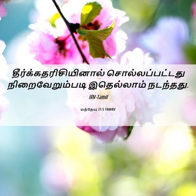 Picture 06 - மத்தேயு 21:5 TAMIRV -  - Bible Verse Picture