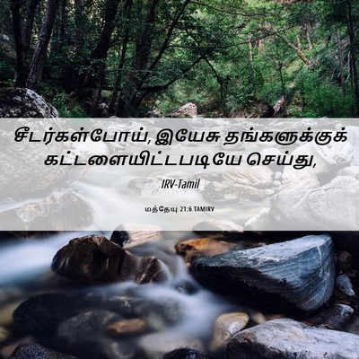 Picture 06 - மத்தேயு 21:6 TAMIRV - சீடர்கள்போய், - Bible Verse Picture