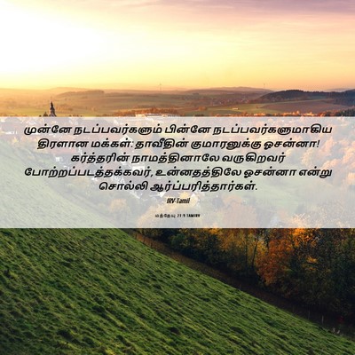 Picture 06 - மத்தேயு 21:9 TAMIRV - முன்னே - Bible Verse Picture