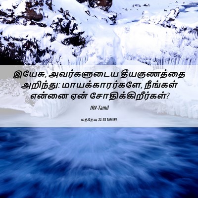 Picture 06 - மத்தேயு 22:18 TAMIRV - இயேசு, அவர்களுடைய - Bible Verse Picture