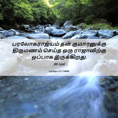 Picture 06 - மத்தேயு 22:2 TAMIRV - பரலோகராஜ்யம் தன் - Bible Verse Picture