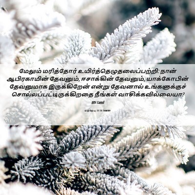 Picture 06 - மத்தேயு 22:31 TAMIRV - மேலும் மரித்தோர் - Bible Verse Picture