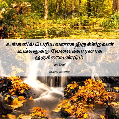 Picture 06 - மத்தேயு 23:11 TAMIRV - உங்களில் - Bible Verse Picture