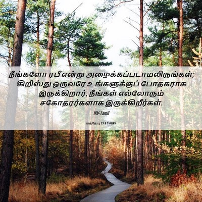Picture 06 - மத்தேயு 23:8 TAMIRV - நீங்களோ ரபீ என்று - Bible Verse Picture