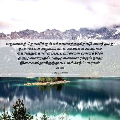 Picture 06 - மத்தேயு 24:31 TAMIRV - வலுவாகத் - Bible Verse Picture