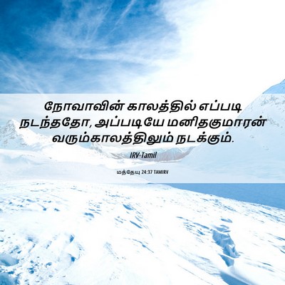 Picture 06 - மத்தேயு 24:37 TAMIRV - நோவாவின் - Bible Verse Picture