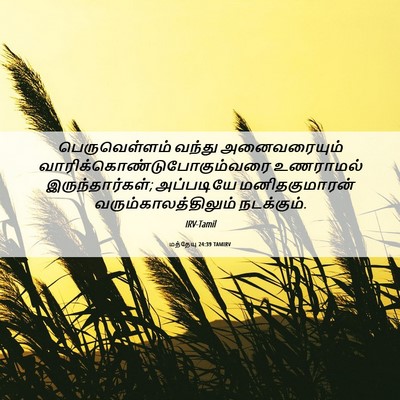 Picture 06 - மத்தேயு 24:39 TAMIRV - பெருவெள்ளம் வந்து - Bible Verse Picture