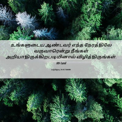 Picture 06 - மத்தேயு 24:42 TAMIRV - உங்களுடைய ஆண்டவர் - Bible Verse Picture